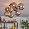 Gastor Plafoniera, Lampada a sfera Grigio fumo, 8-Luci Gastor Plafoniera, Lampada a sfera Grigio fumo, 8-Luci