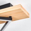 Pompu Plafoniera LED Legno chiaro, Nero, 2-Luci