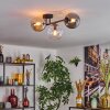 Gastor Plafoniera, Lampada a sfera Ambrato, Chiaro, Grigio fumo, 3-Luci
