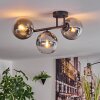 Gastor Plafoniera, Lampada a sfera Chiaro, Grigio fumo, 3-Luci