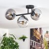 Gastor Plafoniera, Lampada a sfera Chiaro, Grigio fumo, 3-Luci