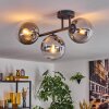 Gastor Plafoniera, Lampada a sfera Chiaro, Grigio fumo, 3-Luci