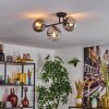 Gastor Plafoniera, Lampada a sfera Chiaro, Grigio fumo, 3-Luci