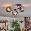 Gastor Plafoniera, Lampada a sfera Cromo, Chiaro, Grigio fumo, 3-Luci