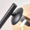 Gastor Plafoniera, Lampada a sfera Ambrato, 3-Luci
