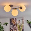 Gastor Plafoniera, Lampada a sfera Bianco, 3-Luci