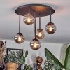 Chehalis Plafoniera, Lampada a sfera Grigio fumo, 5-Luci
