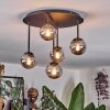 Chehalis Plafoniera, Lampada a sfera Grigio fumo, 5-Luci