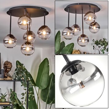 Chehalis Plafoniera, Lampada a sfera Chiaro, Grigio fumo, 5-Luci Chehalis Plafoniera, Lampada a sfera Chiaro, Grigio fumo, 5-Luci