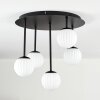 Chehalis Plafoniera, Lampada a sfera Bianco, 5-Luci