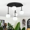 Chehalis Plafoniera, Lampada a sfera Bianco, 5-Luci