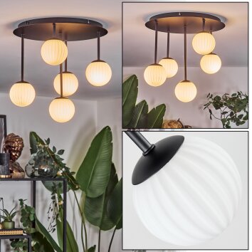 Chehalis Plafoniera, Lampada a sfera Bianco, 5-Luci