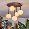Chehalis Plafoniera, Lampada a sfera Bianco, 5-Luci