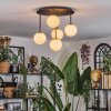 Chehalis Plafoniera, Lampada a sfera Bianco, 5-Luci