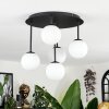 Chehalis Plafoniera, Lampada a sfera Bianco, 5-Luci