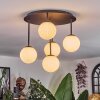 Chehalis Plafoniera, Lampada a sfera Bianco, 5-Luci