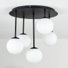 Chehalis Plafoniera, Lampada a sfera Bianco, 5-Luci
