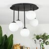 Chehalis Plafoniera, Lampada a sfera Bianco, 5-Luci