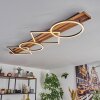 Pompu Plafoniera LED Legno scuro, Nero, 1-Luce