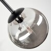 Chehalis Plafoniera, Lampada a sfera Grigio fumo, 5-Luci