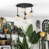 Chehalis Plafoniera, Lampada a sfera Ambrato, Chiaro, 5-Luci