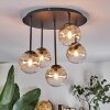 Chehalis Plafoniera, Lampada a sfera Ambrato, Chiaro, 5-Luci
