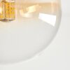 Chehalis Plafoniera, Lampada a sfera Ambrato, Chiaro, 5-Luci