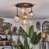 Chehalis Plafoniera, Lampada a sfera Ambrato, Chiaro, 5-Luci
