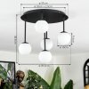 Chehalis Plafoniera, Lampada a sfera Bianco, 5-Luci