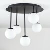 Chehalis Plafoniera, Lampada a sfera Bianco, 5-Luci