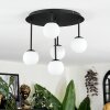 Chehalis Plafoniera, Lampada a sfera Bianco, 5-Luci