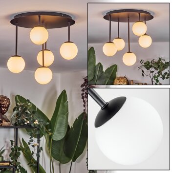 Chehalis Plafoniera, Lampada a sfera Bianco, 5-Luci