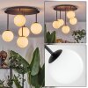 Chehalis Plafoniera, Lampada a sfera Bianco, 5-Luci