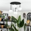 Chehalis Plafoniera, Lampada a sfera Bianco, 5-Luci