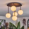 Chehalis Plafoniera, Lampada a sfera Bianco, 5-Luci