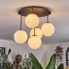 Chehalis Plafoniera, Lampada a sfera Bianco, 5-Luci