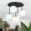Chehalis Plafoniera, Lampada a sfera Bianco, 5-Luci