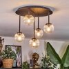 Chehalis Plafoniera, Lampada a sfera Chiaro, 5-Luci