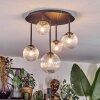 Chehalis Plafoniera, Lampada a sfera Chiaro, 5-Luci