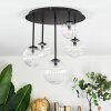 Chehalis Plafoniera, Lampada a sfera Chiaro, 5-Luci
