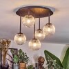 Chehalis Plafoniera, Lampada a sfera Chiaro, 5-Luci