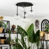 Chehalis Plafoniera, Lampada a sfera Chiaro, 5-Luci