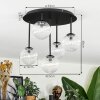 Chehalis Plafoniera, Lampada a sfera Chiaro, 5-Luci