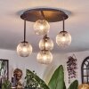 Chehalis Plafoniera, Lampada a sfera Chiaro, 5-Luci