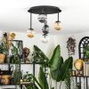 Chehalis Plafoniera, Lampada a sfera Ambrato, Chiaro, Grigio fumo, 5-Luci