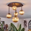 Chehalis Plafoniera, Lampada a sfera Ambrato, 5-Luci