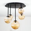 Chehalis Plafoniera, Lampada a sfera Ambrato, 5-Luci