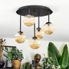Chehalis Plafoniera, Lampada a sfera Ambrato, 5-Luci