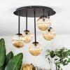 Chehalis Plafoniera, Lampada a sfera Ambrato, 5-Luci
