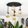 Chehalis Plafoniera, Lampada a sfera Ambrato, 5-Luci